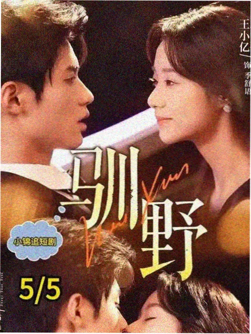 剧集作品分析卡封面